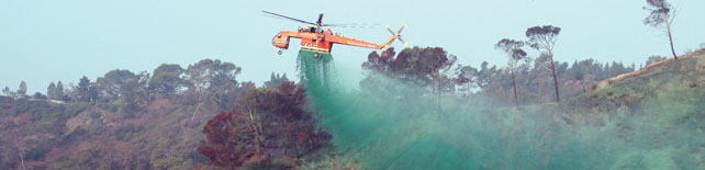 Post-Fire Reclamation
