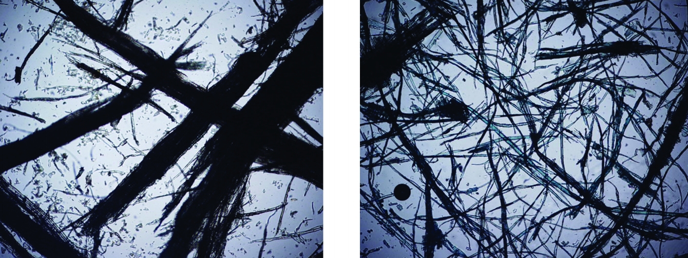 <b>ABOVE:</b> Fibers magnified 45 times by independent lab specializing in fiber analysis. <b> LEFT : </b> Atmospherically Refined Wood Fiber <b> RIGHT : </b>Thermally Refined Wood Fiber 