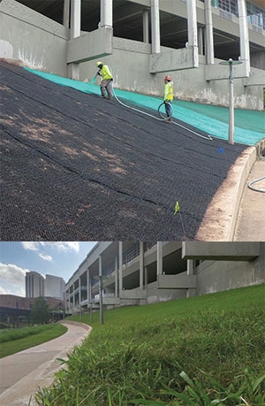 A Turf Reinforcement Mat was infilled with biotic soil media and Bermuda seed (top), which led to solid vegetation growth within six months (bottom).