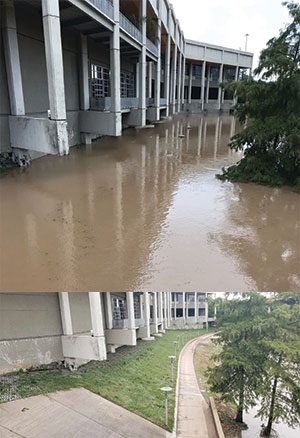 Three months after application, Tropical Storm Imelda led to flooding in the same area (top), but the slope was not compromised (bottom).