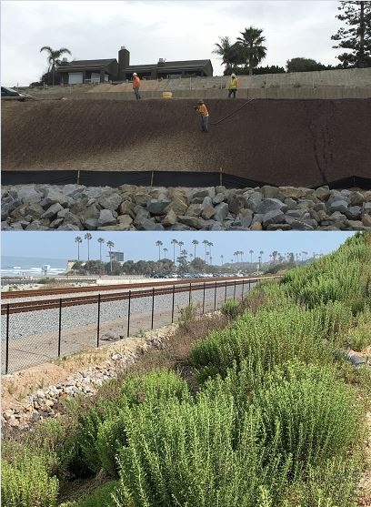 In order to receive the Notice of Termination, the project site needed to have 70% vegetative coverage. The project used a combination of biotic soil technology with native seed, and two years after completion, the site has no reported issues.  