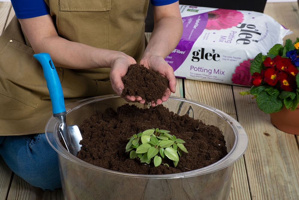 "glee grows potting mix"